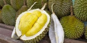 5 Kuliner Khas Medan yang Wajib Dicoba Saat Berkunjung ke Sumatera Utara 5 Kuliner Khas Medan yang Wajib Dicoba Saat Berkunjung ke Sumatera Utara