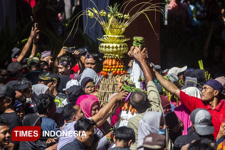 Ilustrasi hrebek gunungan | Foto Timesmedia.co.id