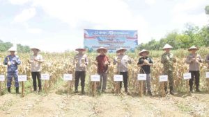 Polri dan Pemda Kalsel Dorong Ketahanan Pangan Lewat Panen Raya