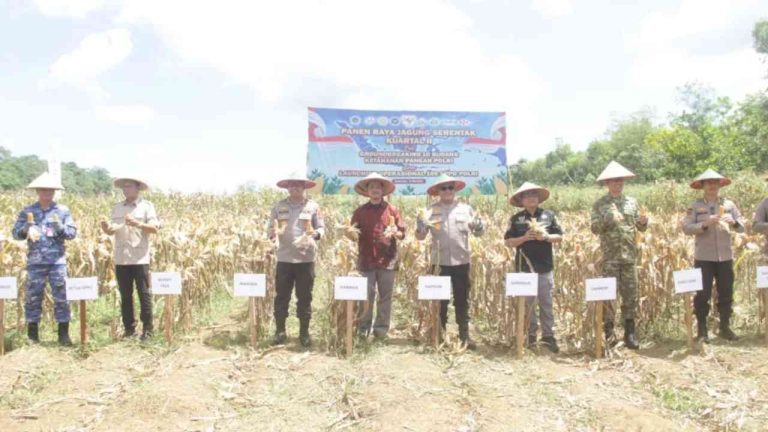 Polri dan Pemda Kalsel Dorong Ketahanan Pangan Lewat Panen Raya