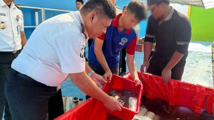 Lapas Banjarmasin Bekali Warga Binaan Keterampilan Usaha Lewat Budidaya Ayam, Lele dan Lobster