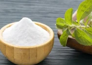 Dokter spesialis gizi klinik memberikan penjelasan mengenai perbedaan pemanis alami stevia dan gula pasir biasa.