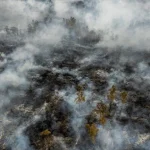 Asia Tenggara Dilanda Kabut Asap Terparah Akibat Kebakaran Hutan di Indonesia Ilustrasi kabut asap yang menyelimuti kawasan perkotaan di Asia Tenggara akibat kebakaran hutan.