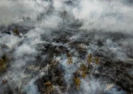 Ilustrasi kabut asap yang menyelimuti kawasan perkotaan di Asia Tenggara akibat kebakaran hutan.