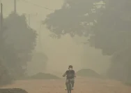 Ilustrasi penegakan hukum kasus kebakaran hutan dan lahan oleh kepolisian