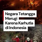 Kabut asap kebakaran hutan dan lahan menyelimuti kawasan perkotaan