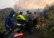 Kondisi kawasan Gunung Bromo yang terdampak kebakaran hutan