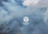 Petugas gabungan sedang berupaya memadamkan kebakaran hutan di kawasan Gunung Ciremai.