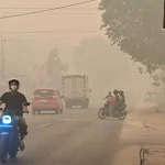 Pemerintah Tegaskan Tidak Menolak Tawaran Bantuan Malaysia untuk Penanganan Karhutla Petugas pemadam kebakaran hutan dan lahan