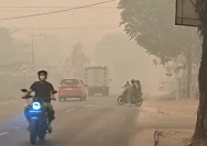 Petugas pemadam kebakaran hutan dan lahan