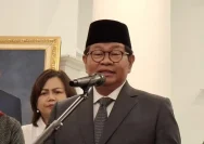 Petugas Satpol PP saat menjalankan tugas penertiban di lapangan