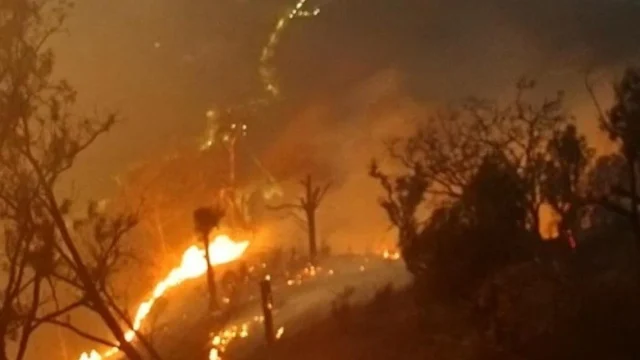 Proses penanganan kebakaran hutan dan lahan di kawasan Taman Nasional Bromo Tengger Semeru